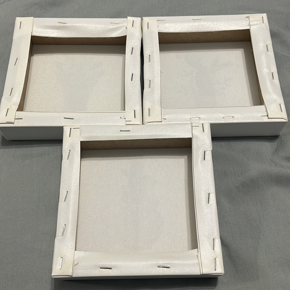 3 Cacti Canvases Decor - Picture 2 of 5